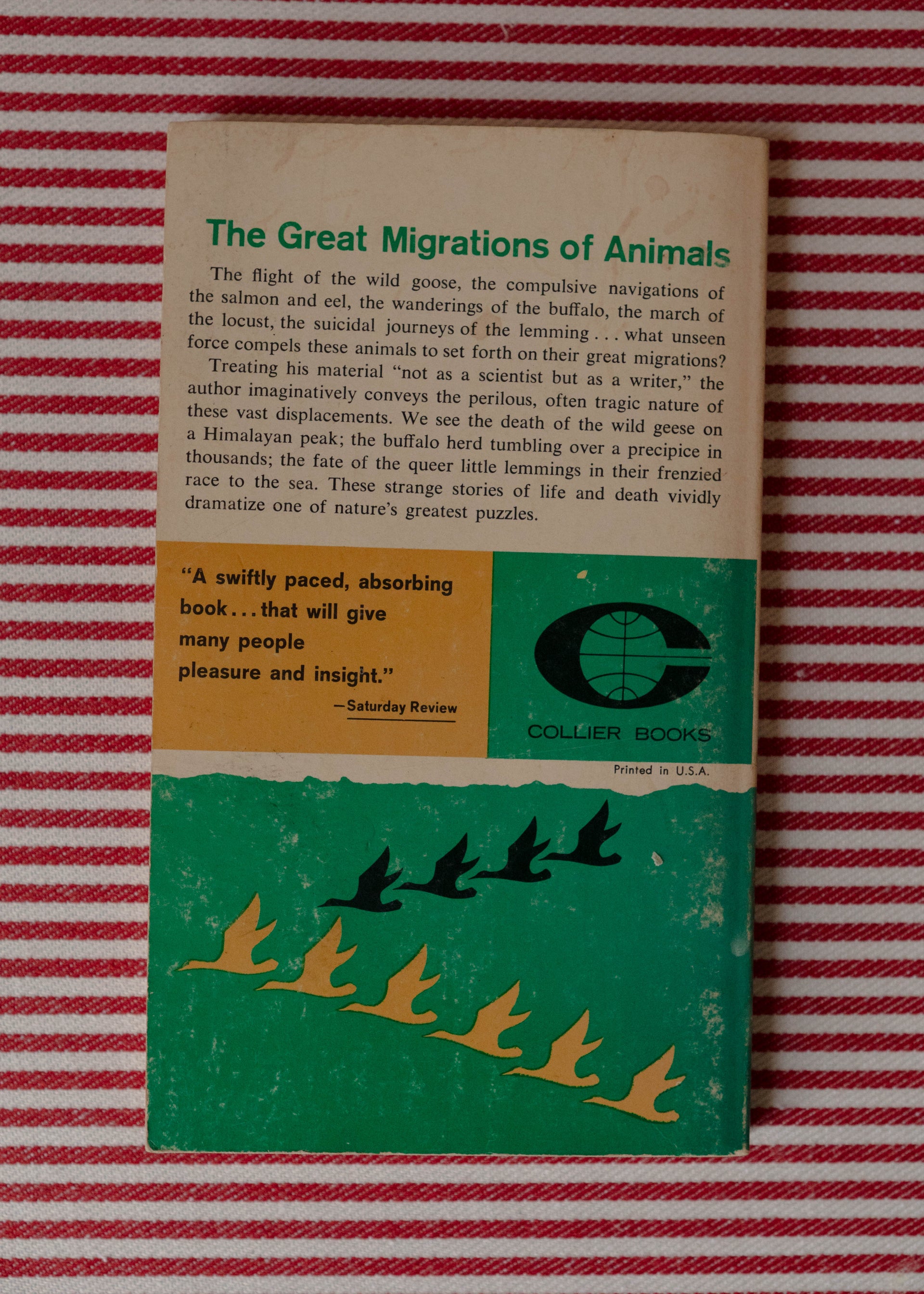 The Great Migrations of Animals